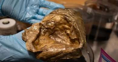 Deniz dibinde bulunan ‘gizemli kürenin’ sırrı çözüldü: Bir anemon kalıntısı